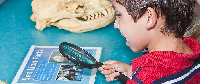 Santa Monica Pier Aquarium Kid with Magnifying Glass